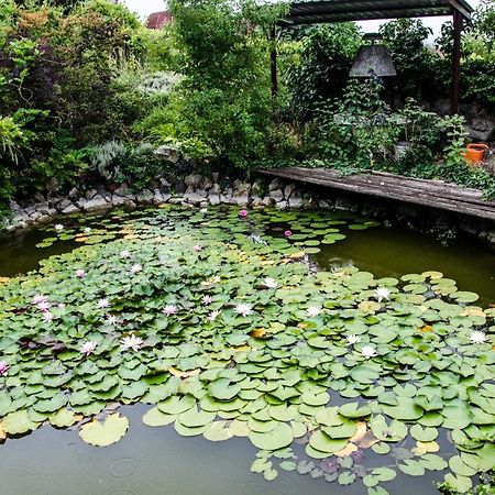 Pigal Panzio Bed & Breakfast Badacsonyörs Dış mekan fotoğraf