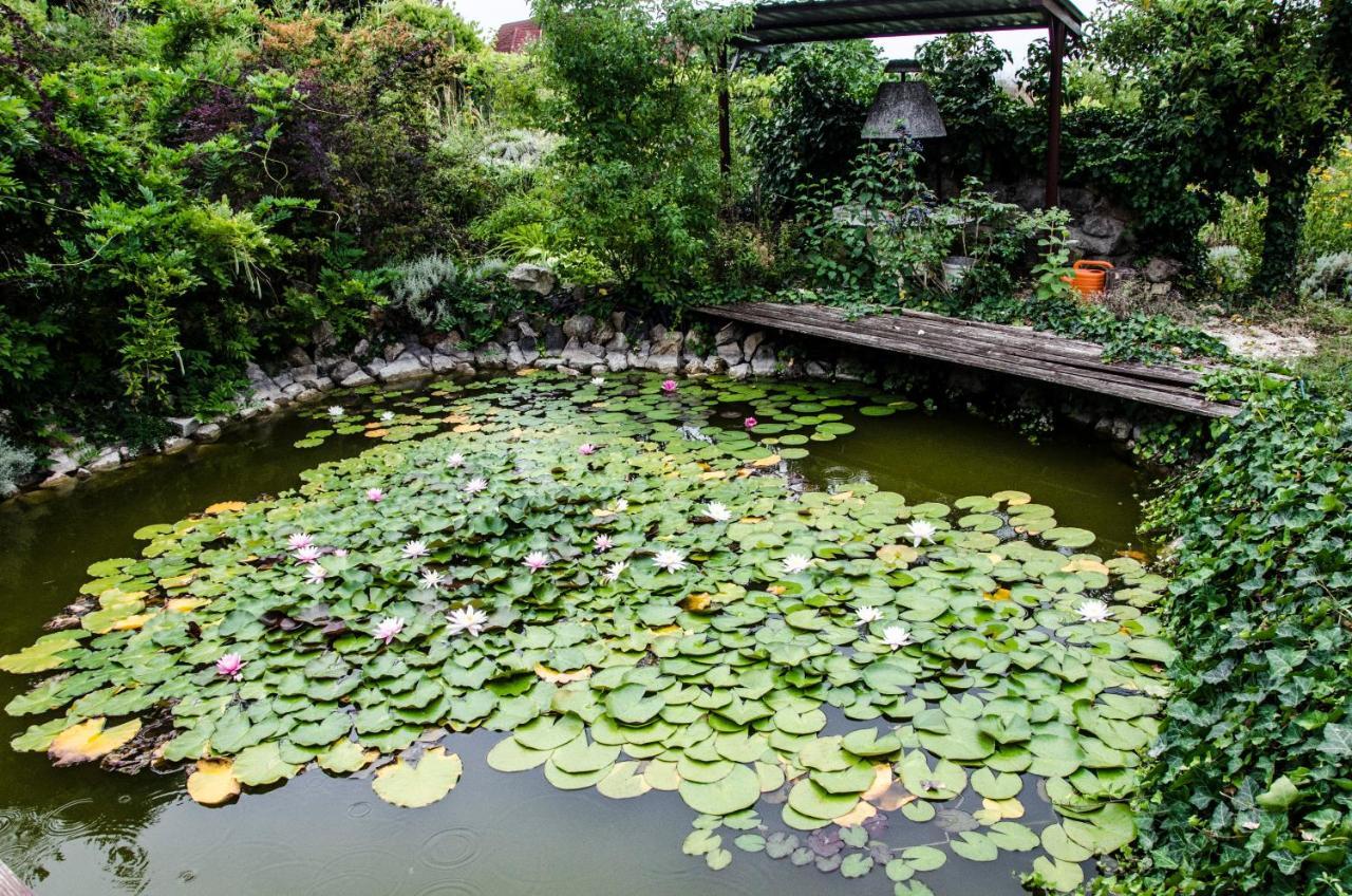 Pigal Panzio Bed & Breakfast Badacsonyörs Dış mekan fotoğraf
